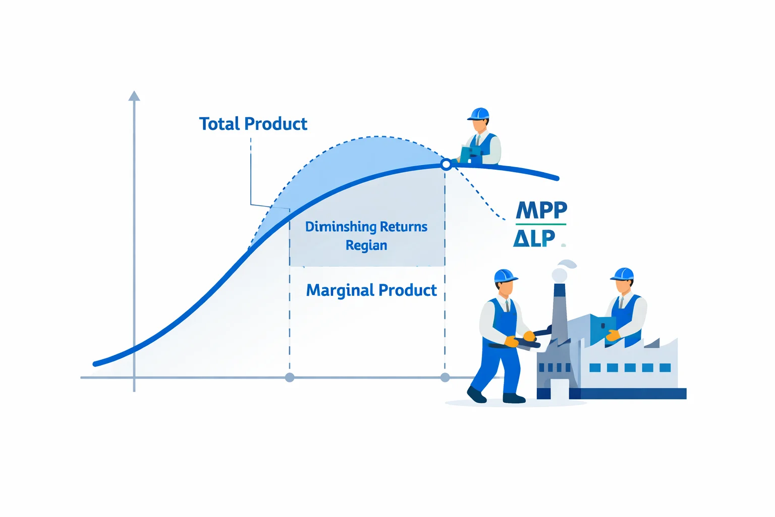 Marginal Physical Product Calculator