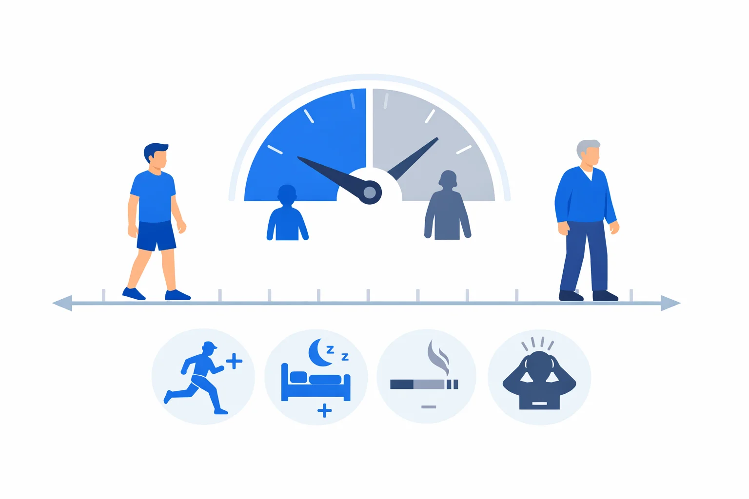 Physical Age Calculator